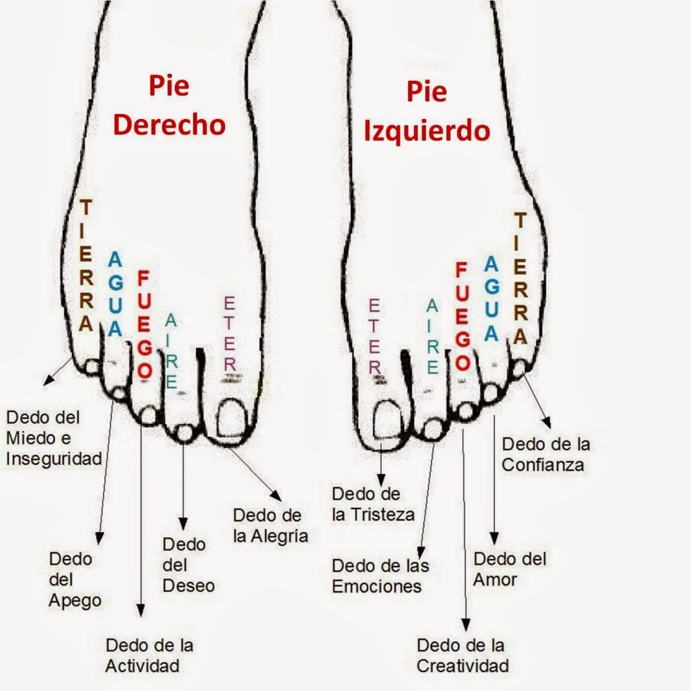 andulacion deportiva terapia